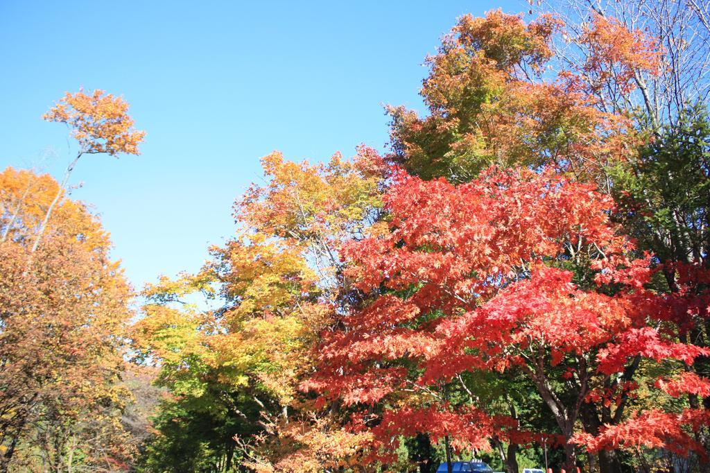 Nojiriko Hotel El Bosco Shinano  ภายนอก รูปภาพ